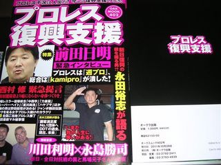 11・9・28発売 プロレス復興支援