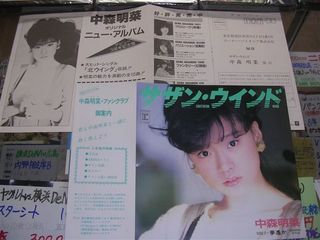 サザンウインド