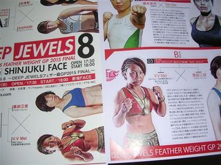 DEEPJEWELS8パンフ