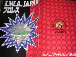 IWA95年パンフ